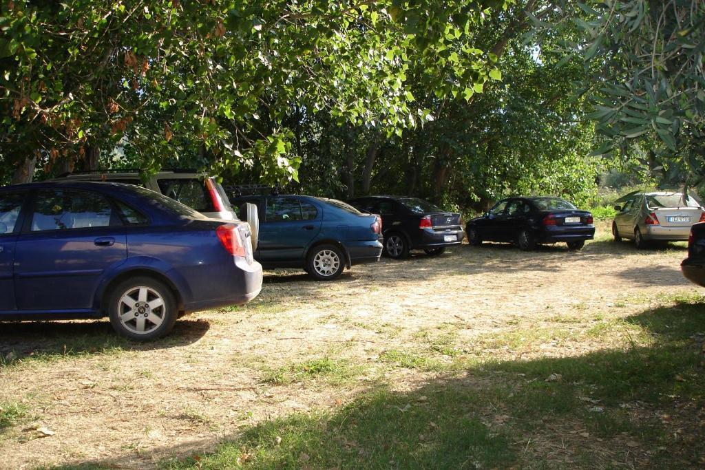 Porto Thassos Apartments & Studios Skala Potamia  Zewnętrze zdjęcie